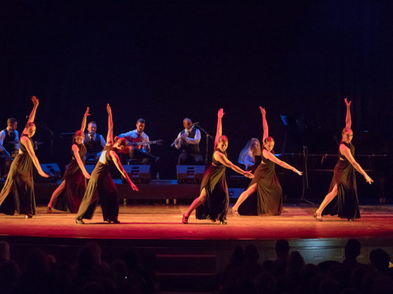 premierele lunii octombrie pe scena digitală a teatrului ”radu stanca”: „rug” și un spectacol al barcelona flamenco ballet