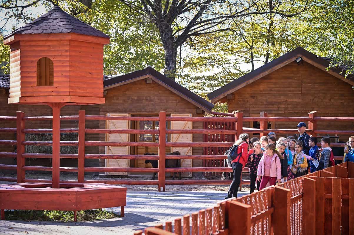 foto ferma animalelor, noua atracţie de la grădina zoologică din sibiu