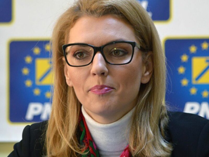 sistemul de impozitare nu se schimbă - alina gorghiu: „aceasta este o garanţie pentru grupurile sociale active din societate”