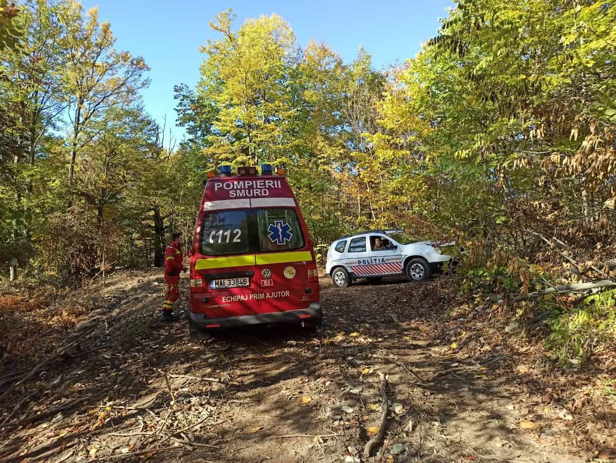 FOTO: Bărbat rănit în pădure la Călimănești. L-a lovit un copac în cap