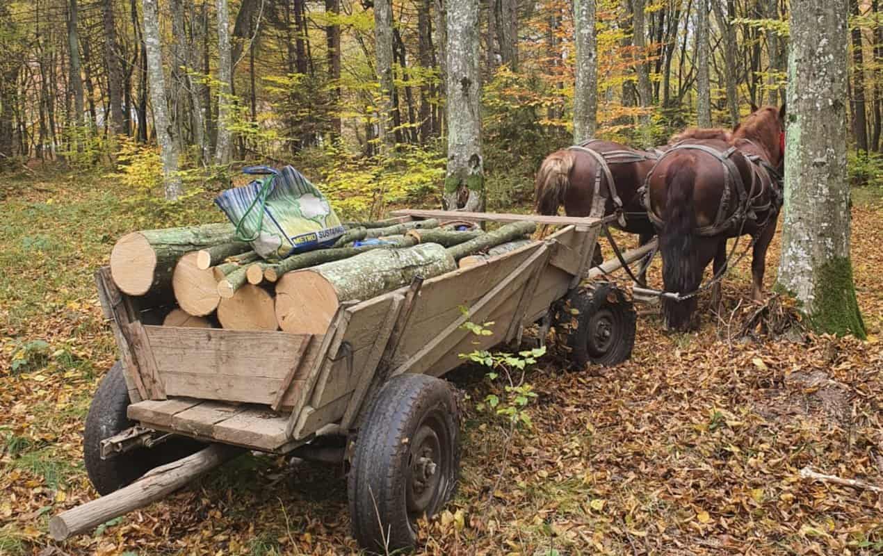 Furt de lemne la Mediaș și Porumbacu de Sus - Trei sibieni cercetați penal