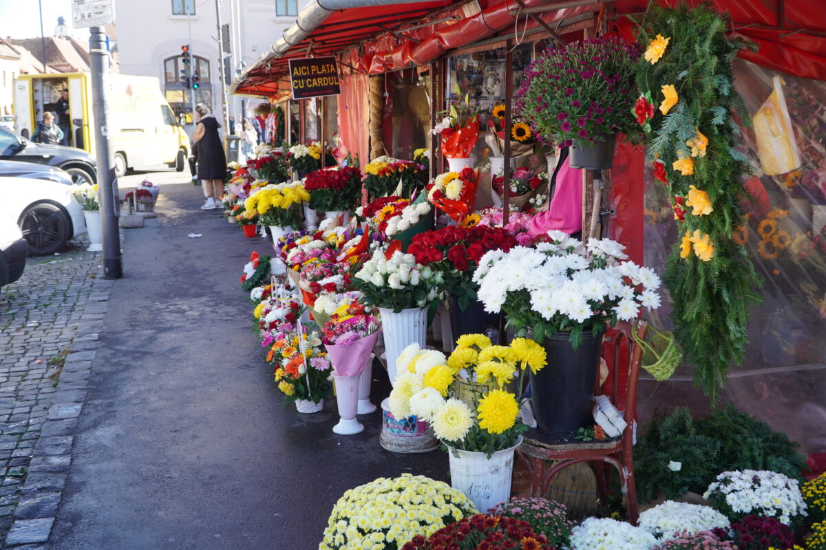 foto florăriile din sibiu nu mai au clienți, deși prețurile sunt neschimbate - ”abia supraviețuim. suntem la limită!”