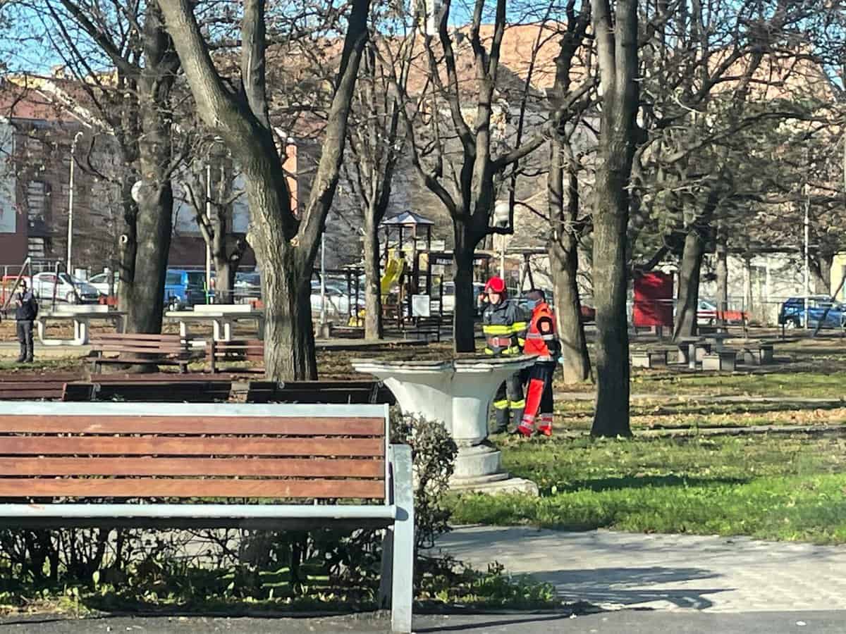 video foto: geantă suspectă în parcul tineretului - echipaje de la sri și poliție cercetează zona