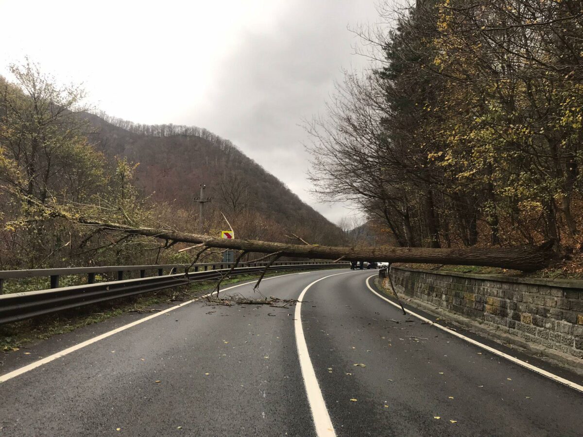 UPDATE Copacul căzut pe Valea Oltului a fost înlăturat - Traficul se desfășoară în condiții normale