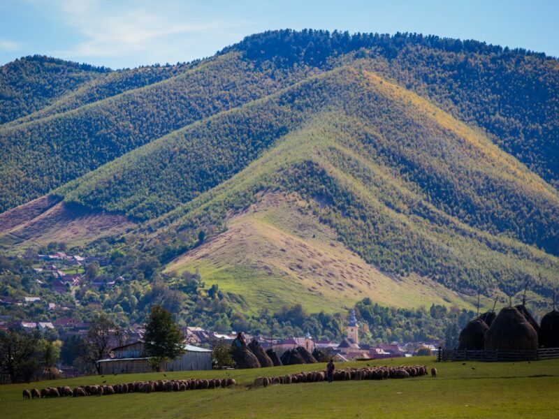 rășinari - desemnat best tourism village de către organizatia mondială a turismului