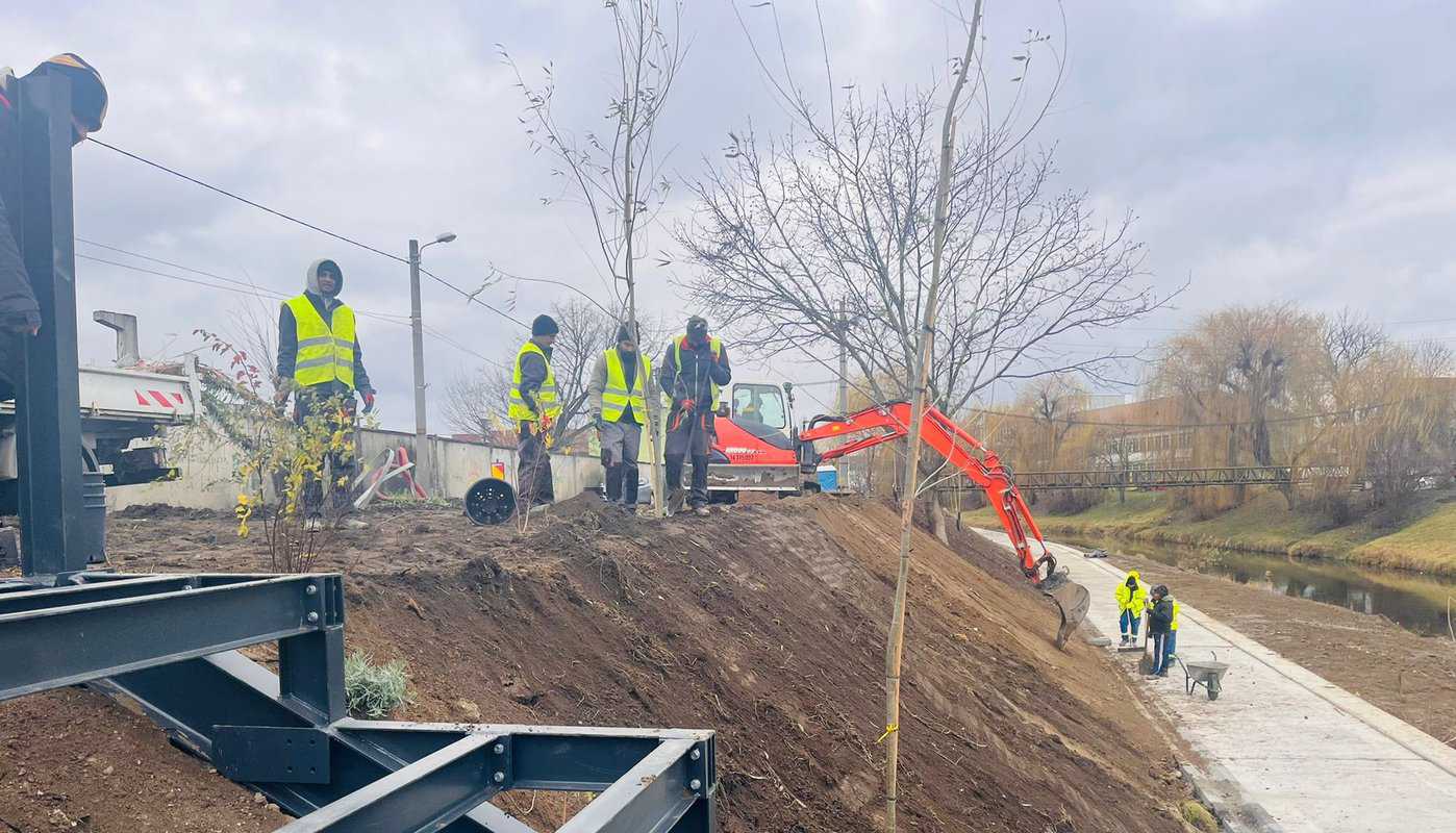 gerul a distrus pomii fructiferi la sibiu - sălciile plantate pe malul cibinului au scăpat