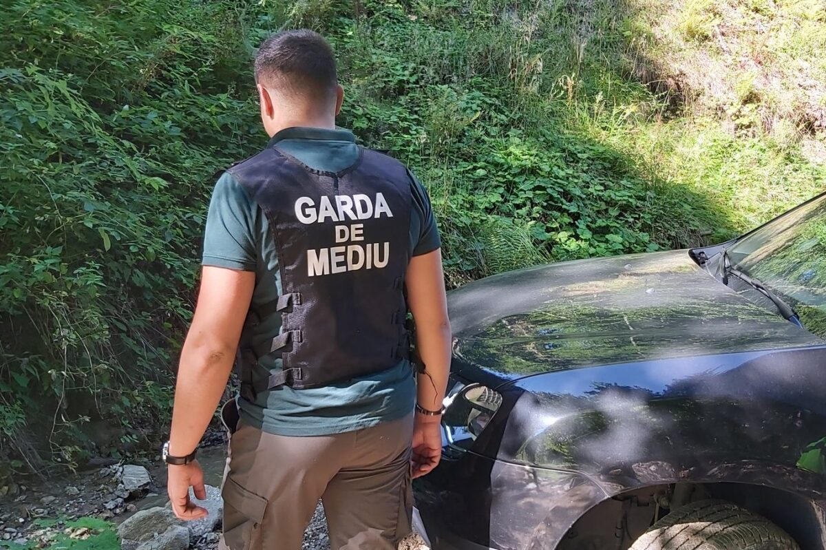 Garda de Mediu a dat amenzi de un milion de lei în 2022 - Cea mai mare pentru o firmă care a intrat cu un buldozer pe Valea Frumoasei