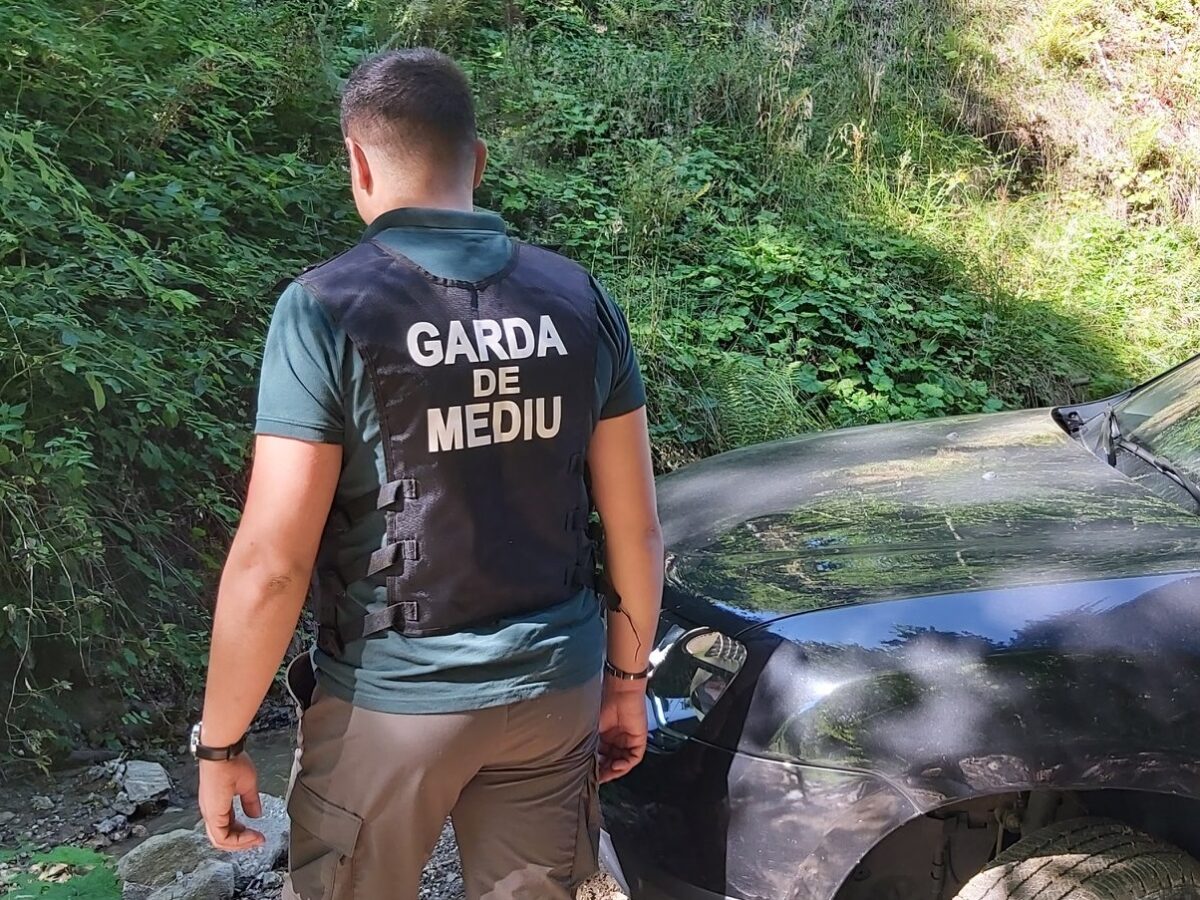 Garda de Mediu a dat amenzi de un milion de lei în 2022 - Cea mai mare pentru o firmă care a intrat cu un buldozer pe Valea Frumoasei