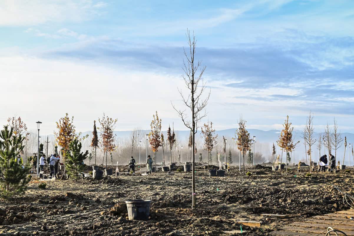 FOTO: Parcul Tilișca, mai aproape de deschidere - A început plantarea arborilor și plantelor