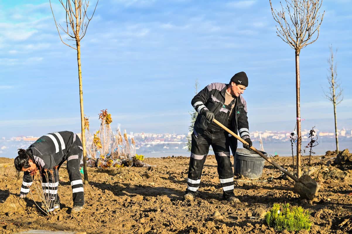 FOTO: Parcul Tilișca, mai aproape de deschidere - A început plantarea arborilor și plantelor