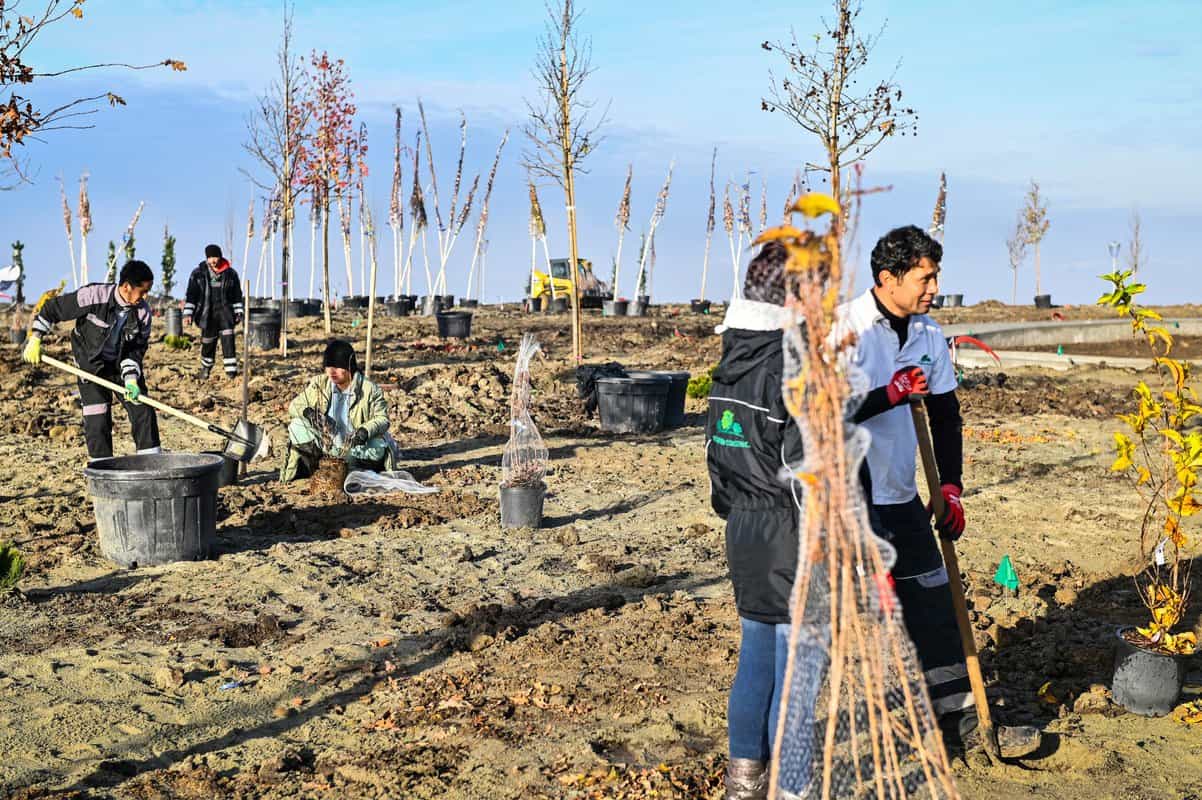 FOTO: Parcul Tilișca, mai aproape de deschidere - A început plantarea arborilor și plantelor