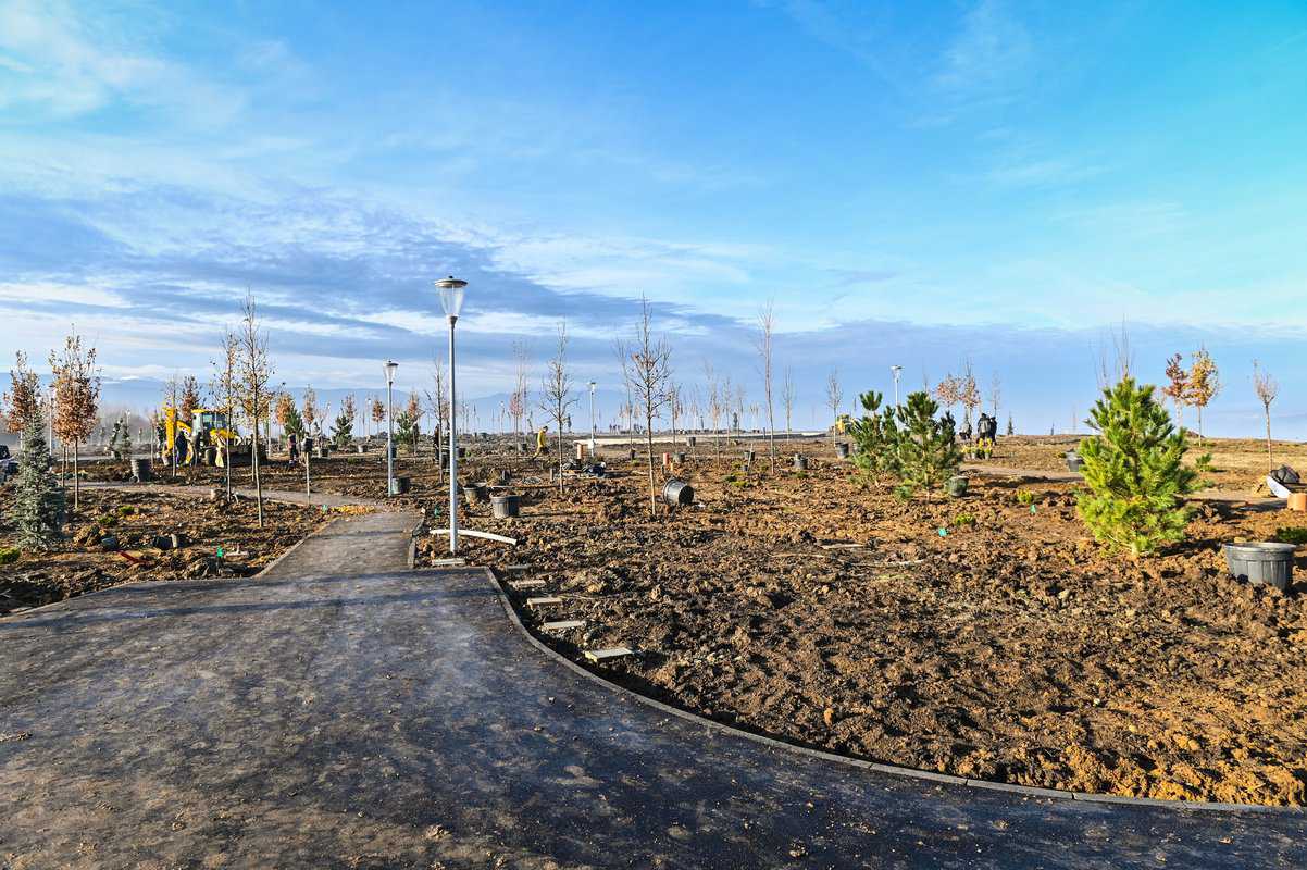 FOTO: Parcul Tilișca, mai aproape de deschidere - A început plantarea arborilor și plantelor