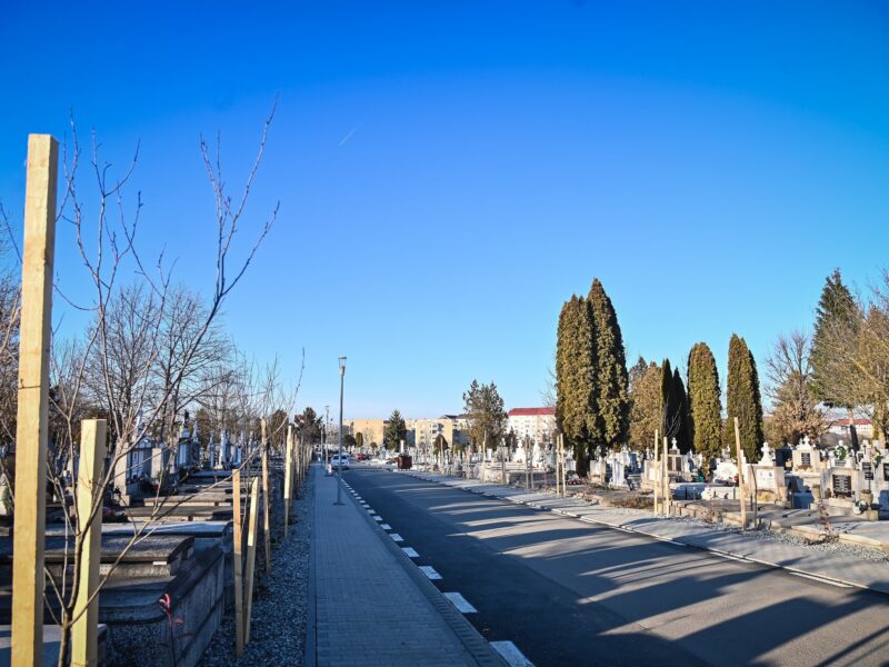 Peste 300 de locuri de mormânt din Cimitirul Municipal Sibiu, scoase la licitație