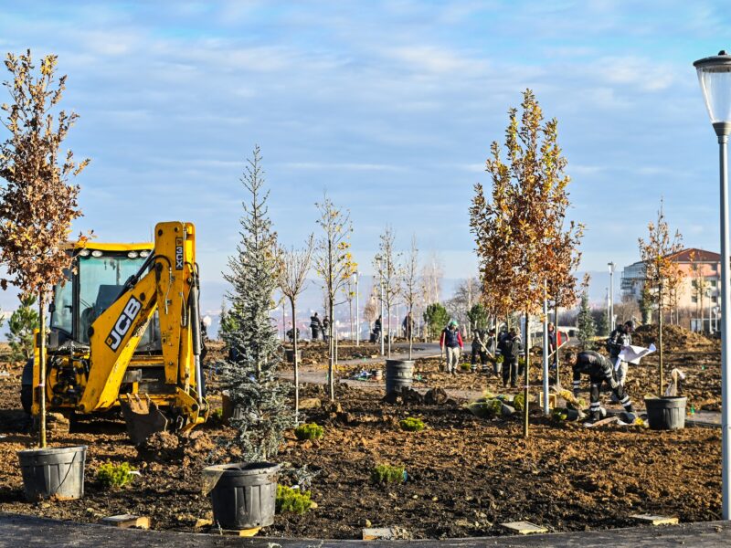 Concurs de idei pentru denumirea celui mai nou parc al Sibiului