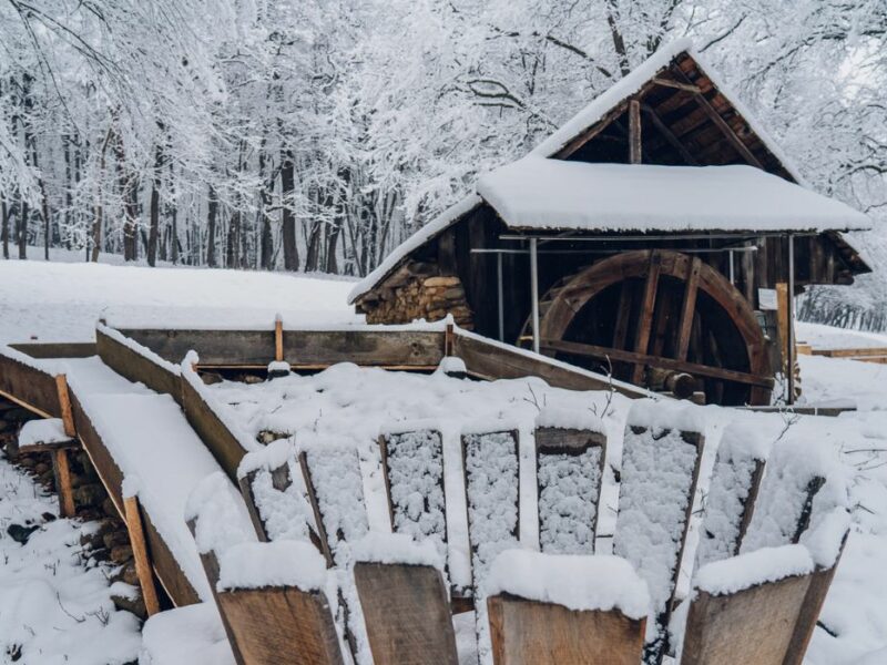 foto peisaj feeric la muzeul în aer liber - căsuțele au îmbrăcat o haină nouă