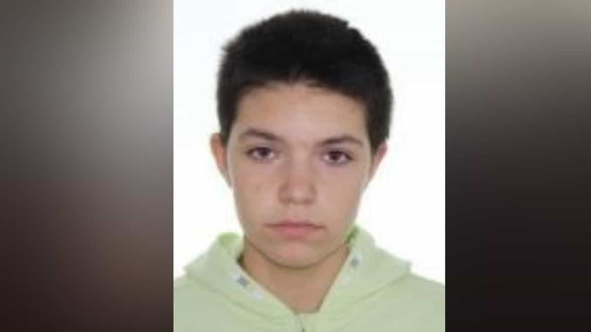 fetiță din sibiu, dispărută de acasă - iulia denisa este căutată de rude și poliție