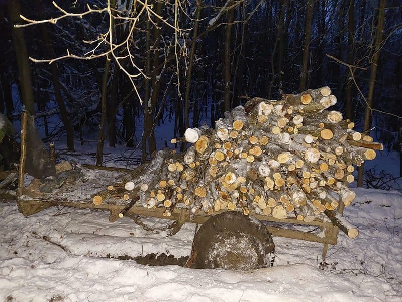 FOTO: Șapte sibieni, cercetați pentru infracțiuni la regimul silvic, reținuți de polițiști