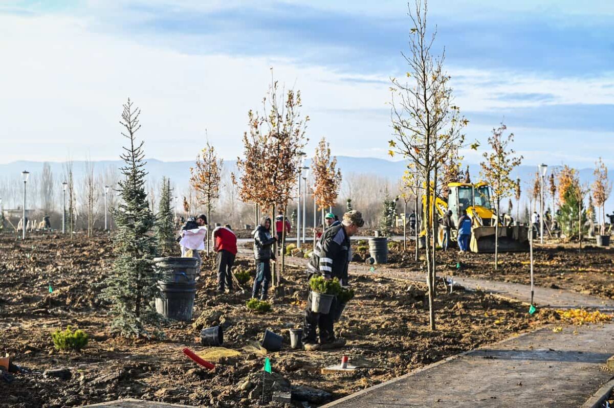 noul parc al sibiului se va numi belvedere - a fost cel mai votat de către sibieni