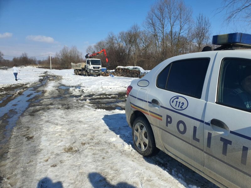 lemne confiscate de polițiști în arpașu de sus - doi sibieni, amendați cu 11.000 de lei