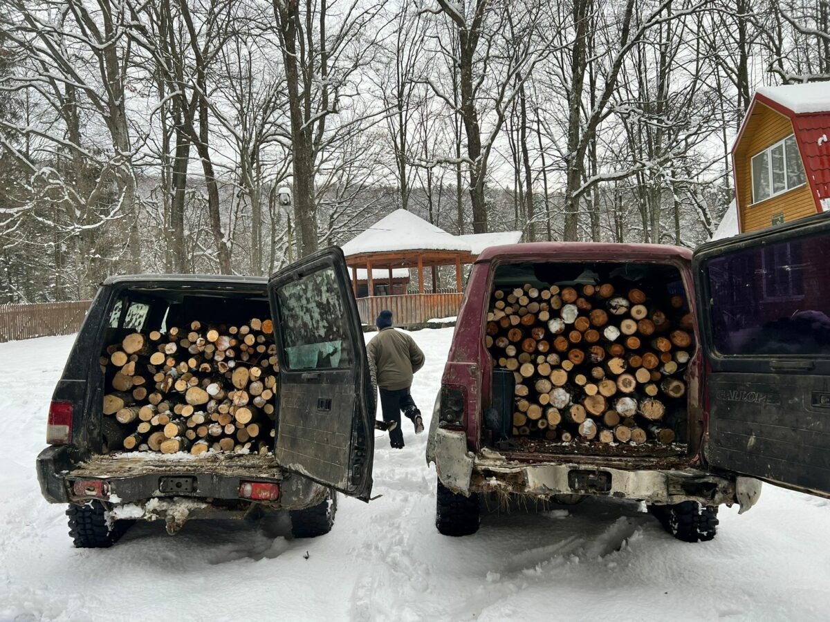 FOTO: Arbori tăiați ilegal în Arpașu de Sus - Doi sibieni s-au ales cu dosar penal