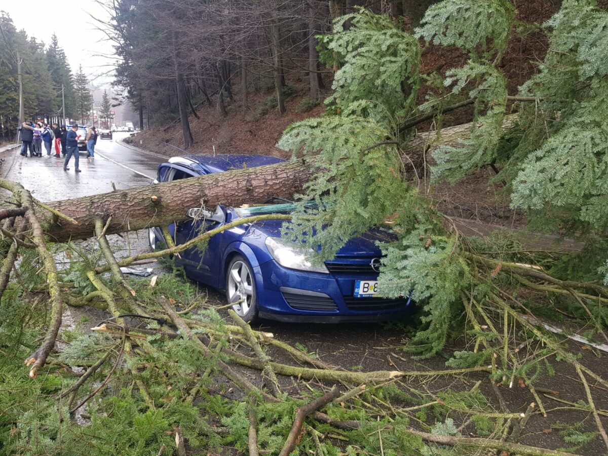 foto mașină zdrobită de un copac pe dn1 - doi răniți duși la spital