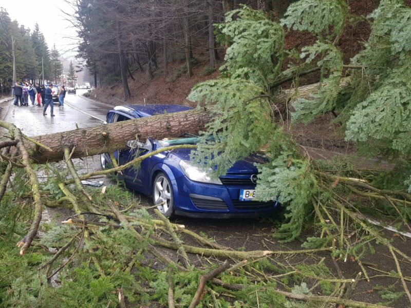 FOTO Mașină zdrobită de un copac pe DN1 - Doi răniți duși la spital