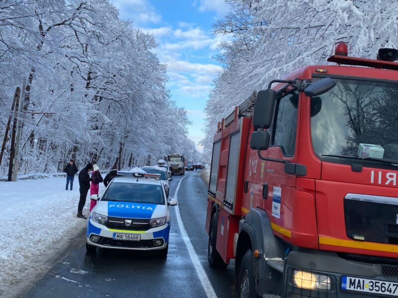 UPDATE FOTO: Copac căzut pe carosabil în zona Muzeului Astra