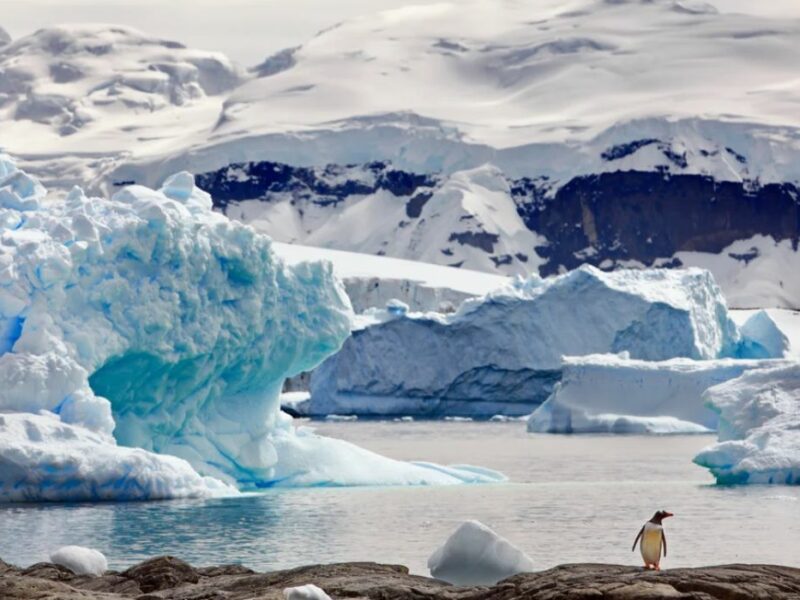 calota glaciară se topește accelerat - urmează creșteri mari ale nivelului oceanului planetar