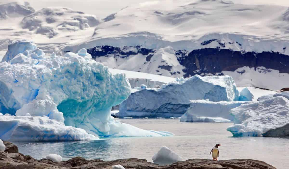 calota glaciară se topește accelerat - urmează creșteri mari ale nivelului oceanului planetar