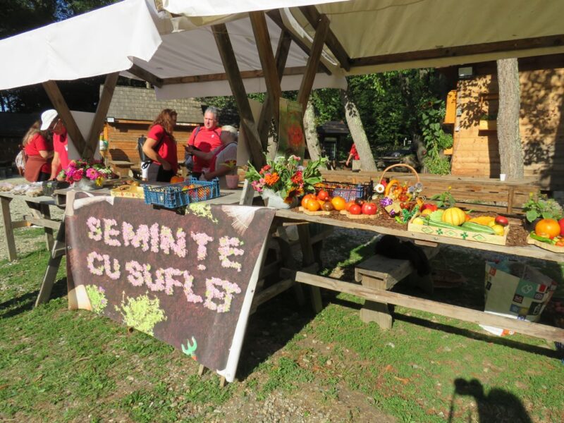 Atelier gastronomic sâmbătă la Muzeul Astra - Se gătește saramură de crap, ciorbă de pește și salată de icre