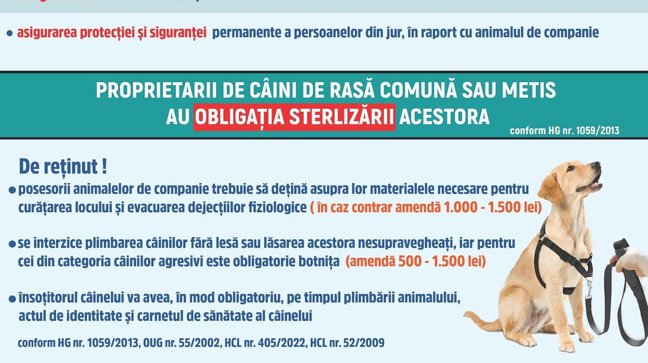 campanie de informare privind deținerea și creșterea câinilor în mediaș - ce obligații au stăpânii