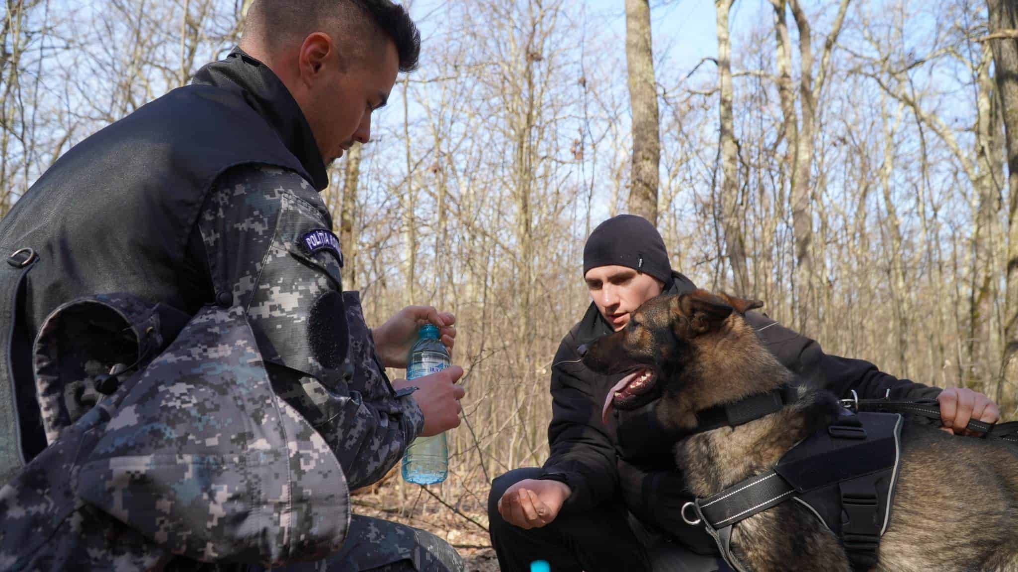 update foto: studenta dispărută, căutată prin pădurea dumbrava - peste 300 de oameni cercetează zona alături de polițiști