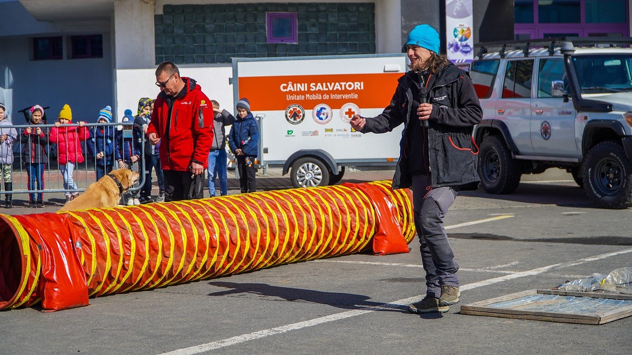 FOTO VIDEO - Sibienii învățați cum să se comporte în caz de dezastre – Demonstrații ”live” cu câini care îți pot salva viața