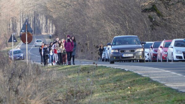 update foto: studenta dispărută, căutată prin pădurea dumbrava - peste 300 de oameni cercetează zona alături de polițiști