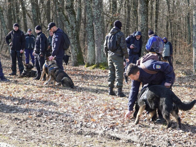 Un palton și un colier, găsite în Pădurea Dumbrava - Nu sunt ale studentei dispărute - Polițiștii extind aria de căutare