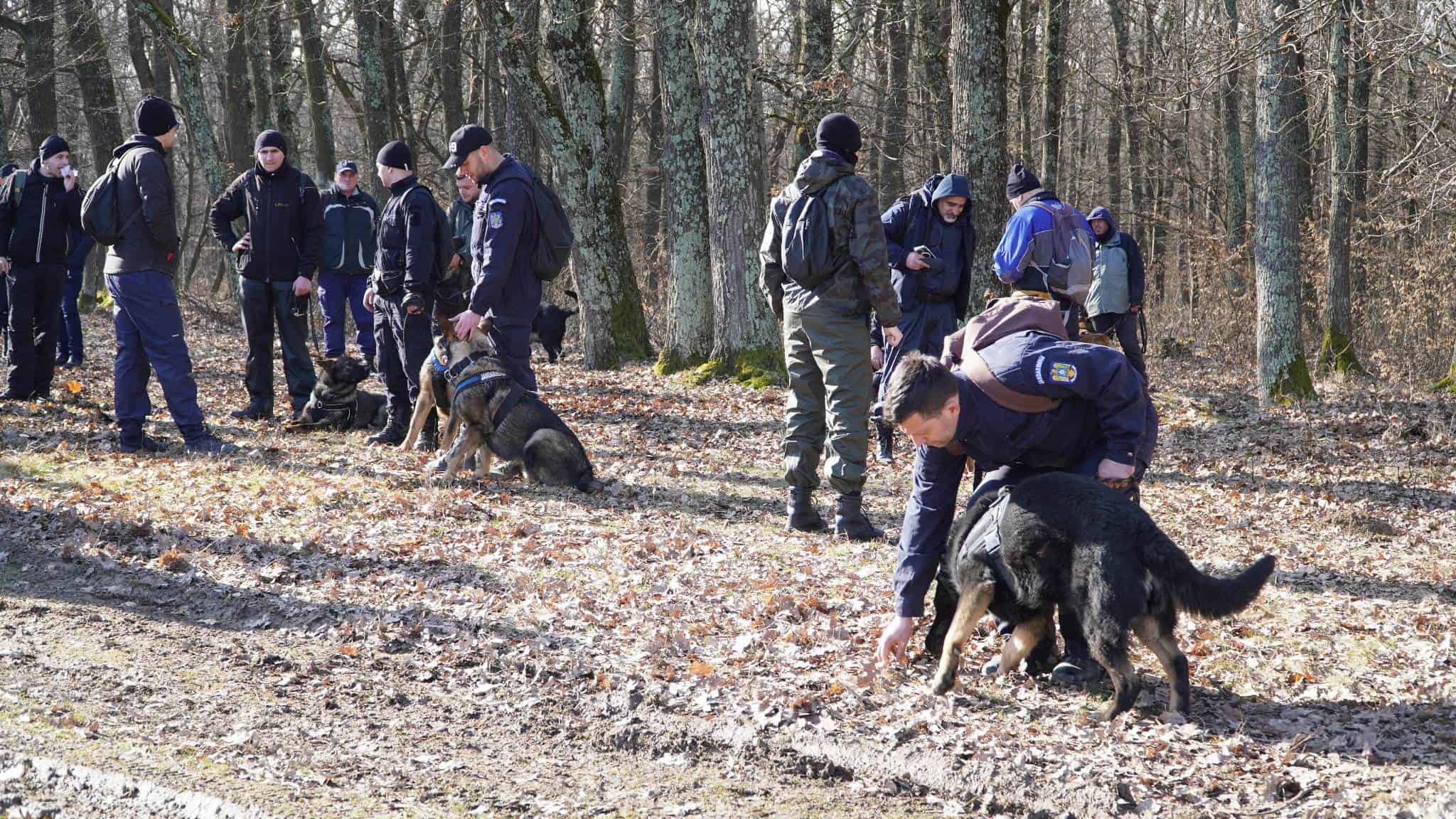 update foto: studenta dispărută, căutată prin pădurea dumbrava - peste 300 de oameni cercetează zona alături de polițiști