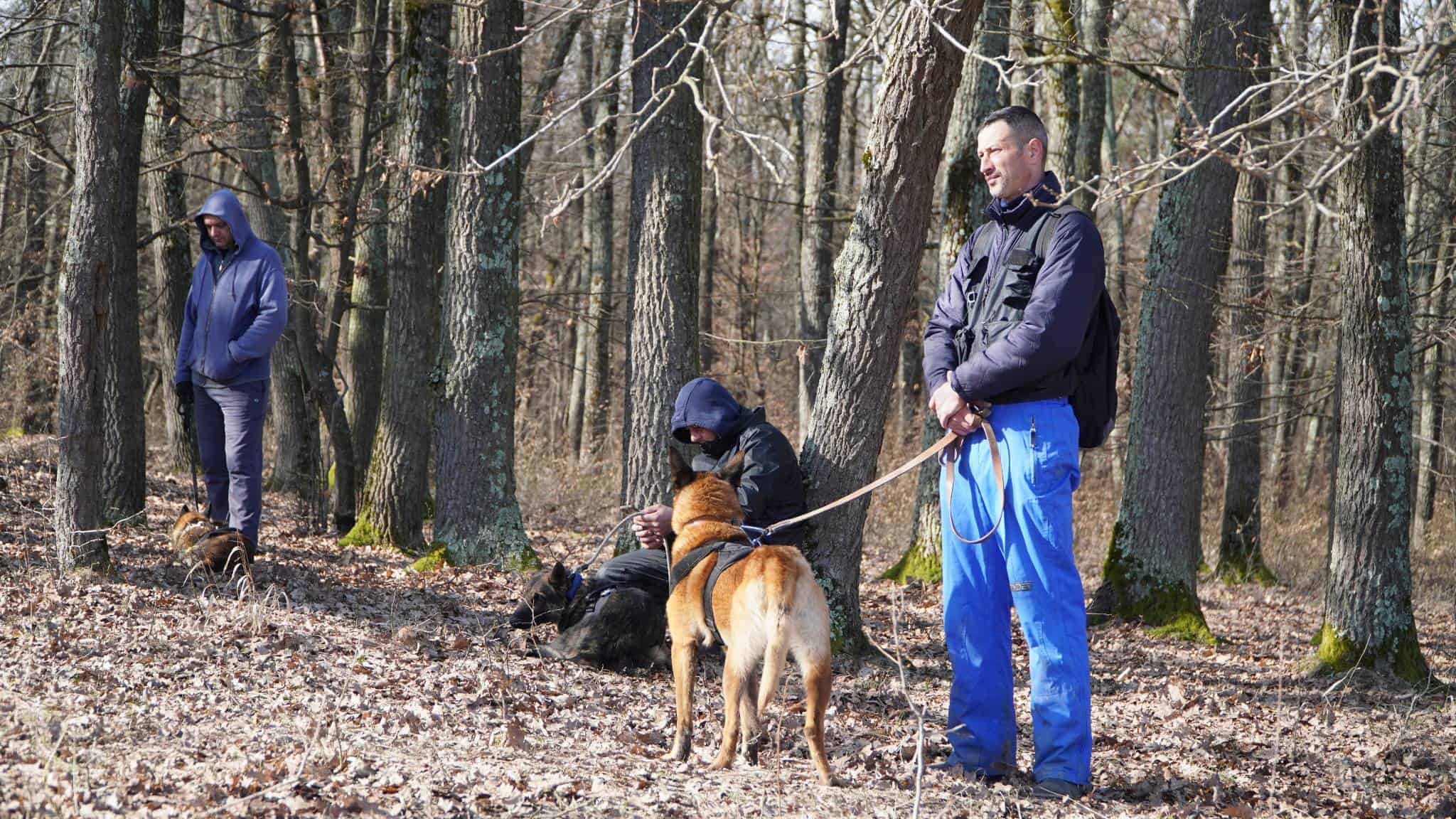 update foto: studenta dispărută, căutată prin pădurea dumbrava - peste 300 de oameni cercetează zona alături de polițiști