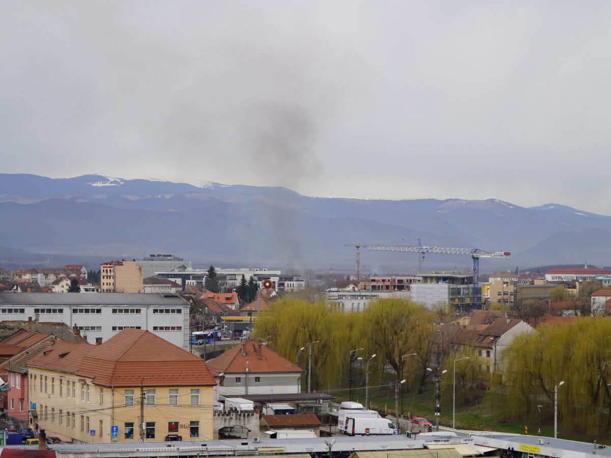 incendiu puternic de vegetație în turnișor - fumul se vede din tot orașul