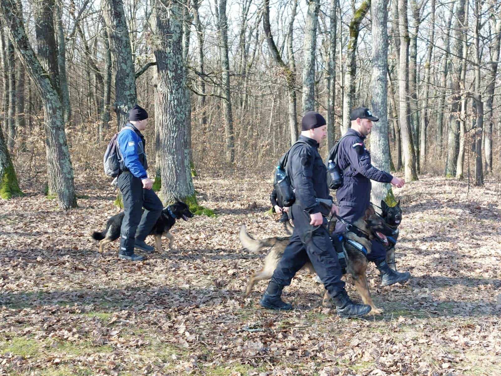 update foto: studenta dispărută, căutată prin pădurea dumbrava - peste 300 de oameni cercetează zona alături de polițiști