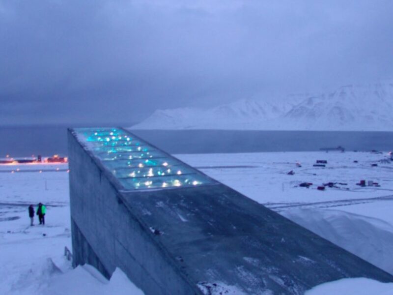 imagini din „seiful apocalipsei”, primul tur virtual din buncărul ascuns în munte din svalbard - „este ca într-o catedrală”