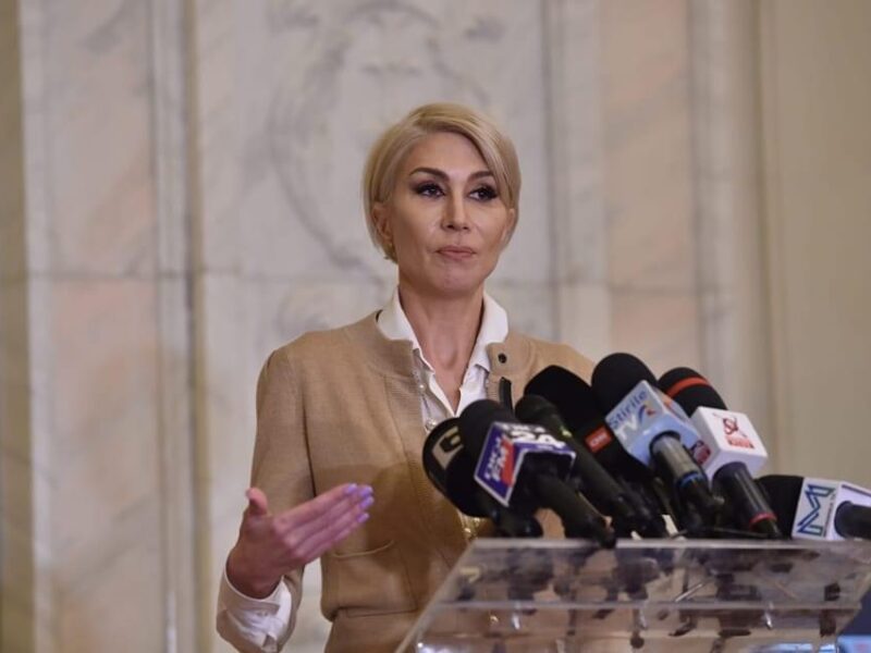 proiect pnl - raluca turcan: angajatorii pot primi vouchere de până la 9.600 de lei, pe care să le folosească pentru plata cursurilor propriilor angajați (c.p)