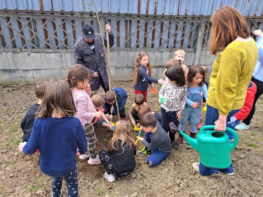 foto acțiune de plantare de arbori la grădinițele din mediaș