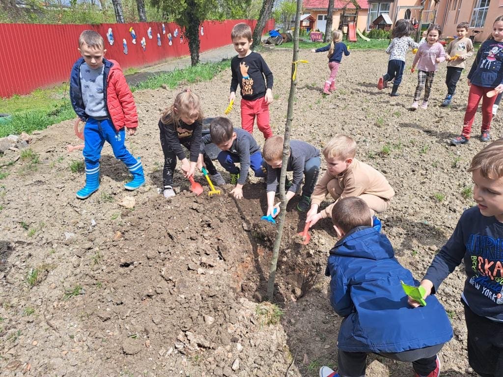 foto acțiune de plantare de arbori la grădinițele din mediaș