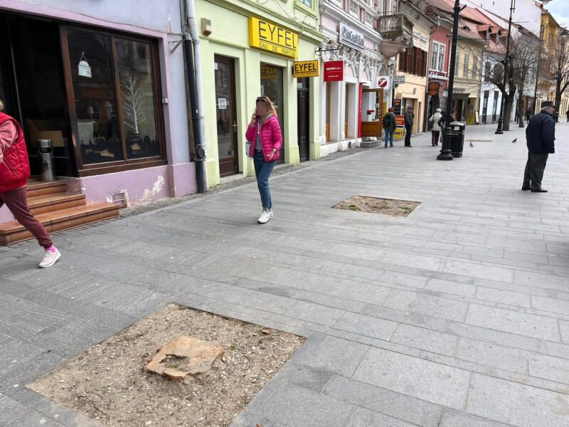 foto: copaci tăiați de pe pietonala bălcescu - primăria spune că riscau să se prăbușească și că va planta alții în loc