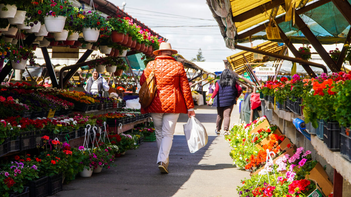 Anunț licitaţie pentru închirierea spaţiilor şi terenurilor libere din pieţele agroalimentare din Sibiu precum şi spaţii pentru comerţul stradal de legume, fructe şi flori