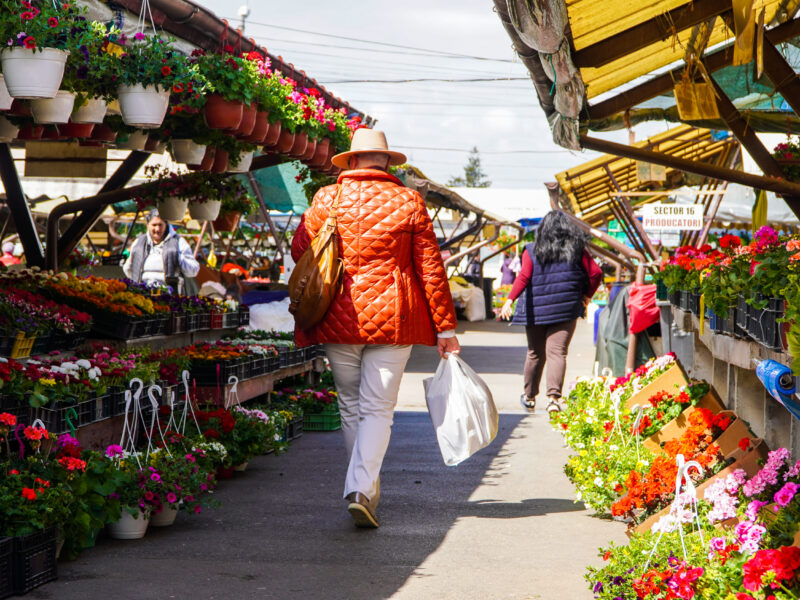 anunț licitaţie pentru închirierea spaţiilor şi terenurilor libere din pieţele agroalimentare din sibiu precum şi spaţii pentru comerţul stradal de legume, fructe şi flori