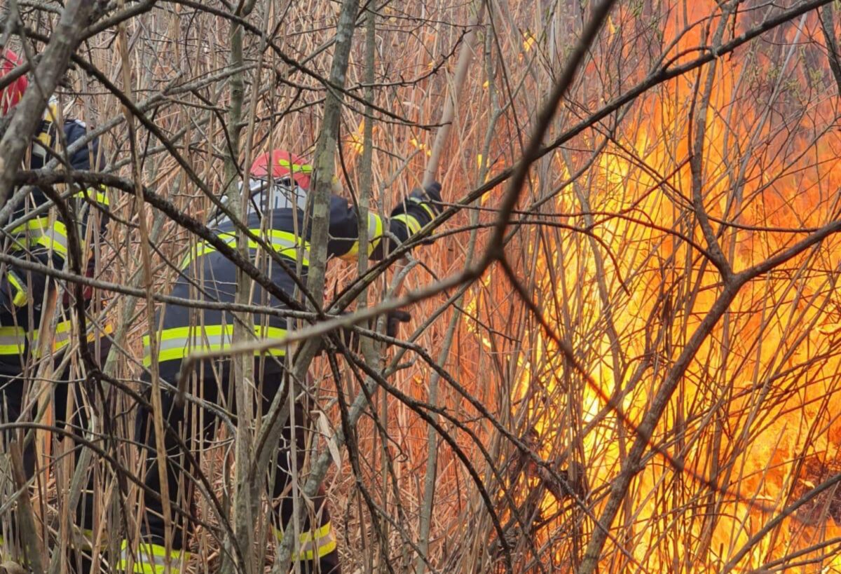 weekend de foc pentru pompierii sibieni. șapte incendii de vegetație stinse. apel către populație: ”nu mai dați foc la miriști!”