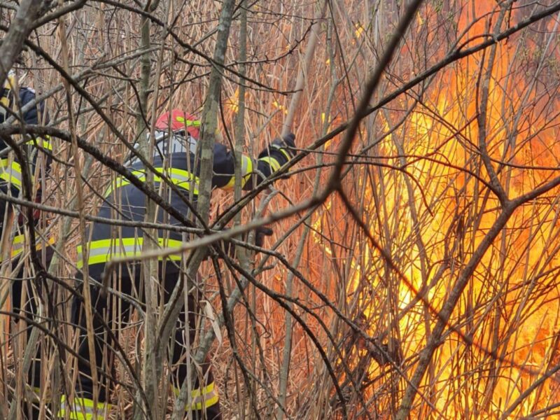 incendii de înviere la chirpăr, mohu și mediaș - pompierii au intervenit să le stingă