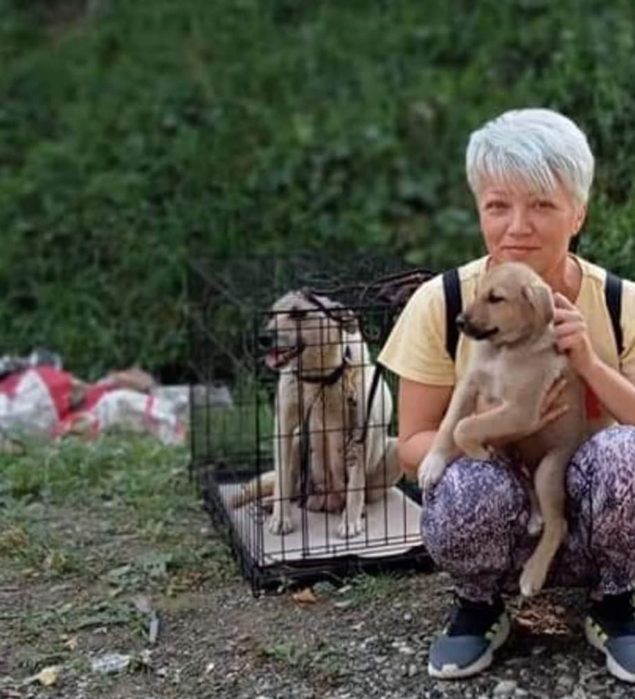 Nordul județului are oficial o Asociație care salvează animalele maltratate și abandonate - „Ne axăm pe cei bolnavi”