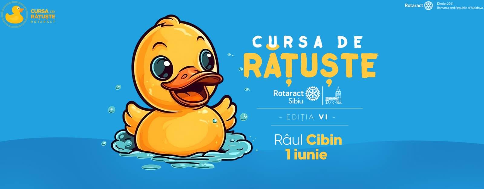 cursă caritabilă la sibiu - patru mii de răţuşte de plastic se vor întrece pe 1 iunie pe cibin